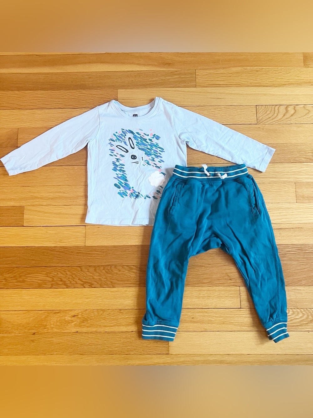 Hanna Andersson Teal Joggers & Tea Collection Bunny Rabbit Long Sleeve 2T 3T